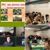 ������������ � ������ ����������: ����������� �������� � �����